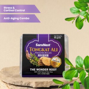 TONGKAT ALI POLYALTHIA BULLATA